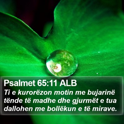 Psalmet 65:11 ALB Bible Verse Image
