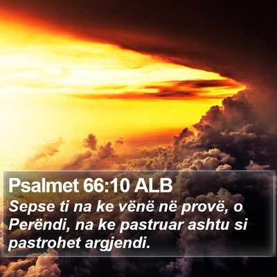 Psalmet 66:10 ALB Bible Verse Image