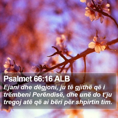 Psalmet 66:16 ALB Bible Verse Image