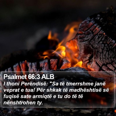 Psalmet 66:3 ALB Bible Verse Image