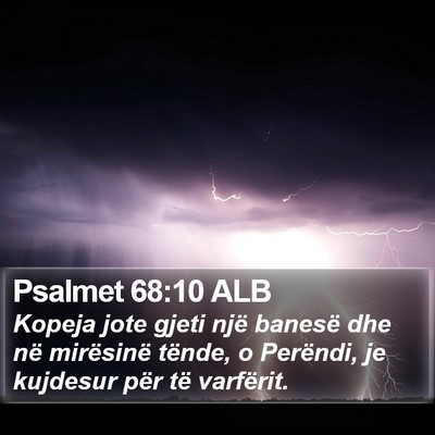 Psalmet 68:10 ALB Bible Verse Image