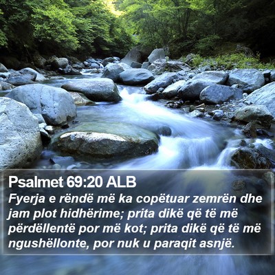 Psalmet 69:20 ALB Bible Verse Image