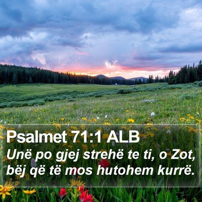 Psalmet 71:1 ALB Bible Verse Image