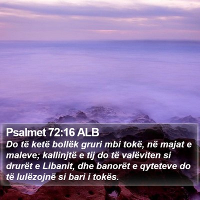 Psalmet 72:16 ALB Bible Verse Image