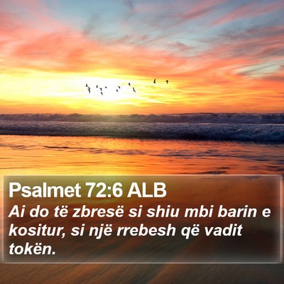 Psalmet 72:6 ALB Bible Verse Image