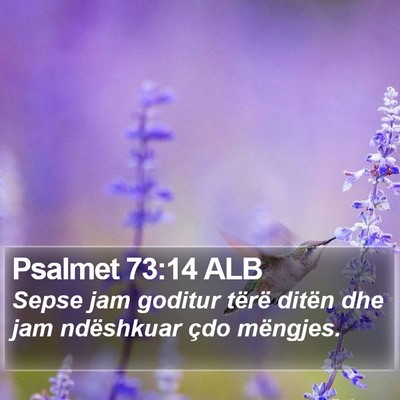 Psalmet 73:14 ALB Bible Verse Image