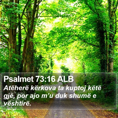 Psalmet 73:16 ALB Bible Verse Image