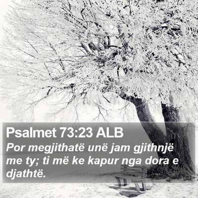 Psalmet 73:23 ALB Bible Verse Image