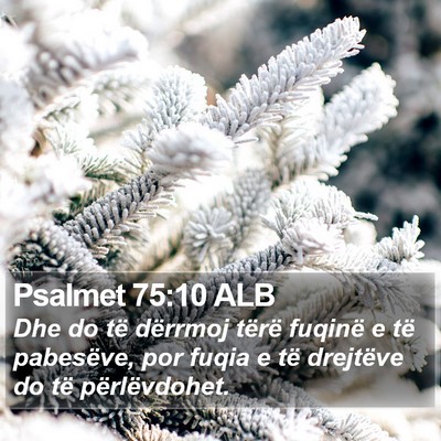 Psalmet 75:10 ALB Bible Verse Image