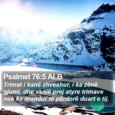 Psalmet 76:5 ALB Bible Verse Image