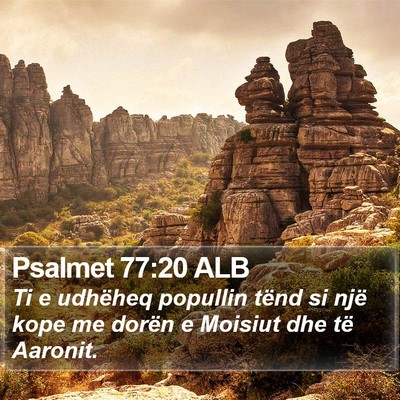Psalmet 77:20 ALB Bible Verse Image
