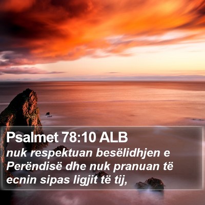 Psalmet 78:10 ALB Bible Verse Image