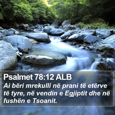 Psalmet 78:12 ALB Bible Verse Image