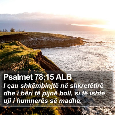 Psalmet 78:15 ALB Bible Verse Image