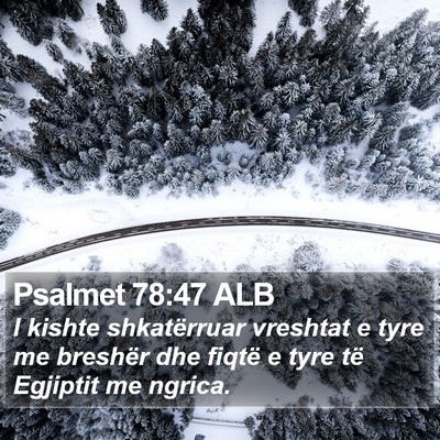 Psalmet 78:47 ALB Bible Verse Image