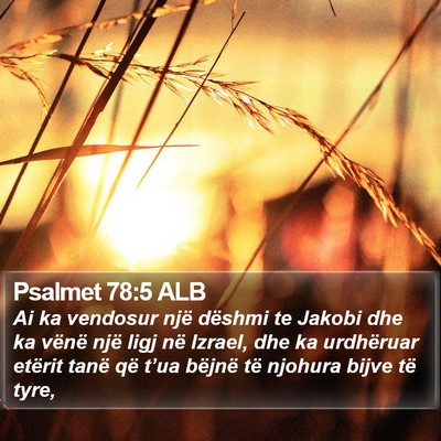 Psalmet 78:5 ALB Bible Verse Image
