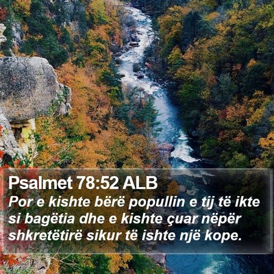 Psalmet 78:52 ALB Bible Verse Image