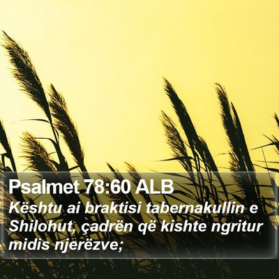 Psalmet 78:60 ALB Bible Verse Image