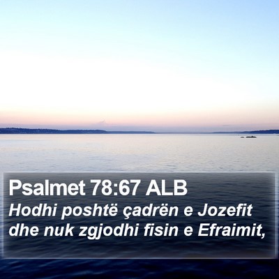 Psalmet 78:67 ALB Bible Verse Image