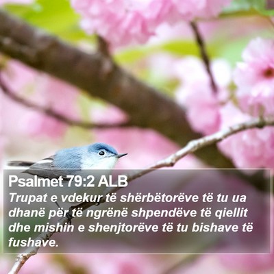 Psalmet 79:2 ALB Bible Verse Image