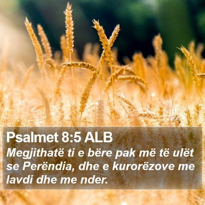Psalmet 8:5 ALB Bible Verse Image
