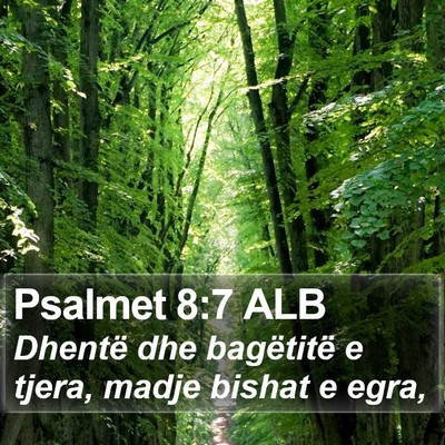 Psalmet 8:7 ALB Bible Verse Image