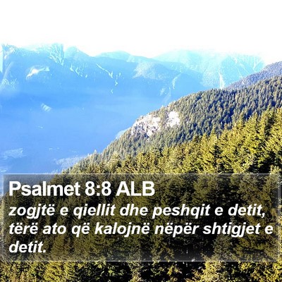 Psalmet 8:8 ALB Bible Verse Image