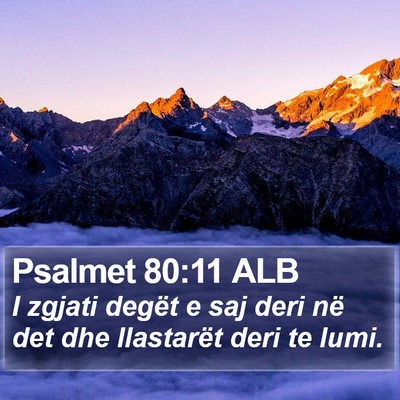 Psalmet 80:11 ALB Bible Verse Image