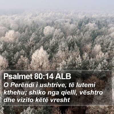Psalmet 80:14 ALB Bible Verse Image