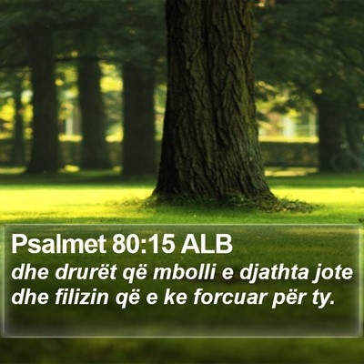 Psalmet 80:15 ALB Bible Verse Image