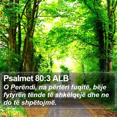 Psalmet 80:3 ALB Bible Verse Image
