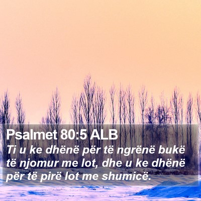 Psalmet 80:5 ALB Bible Verse Image