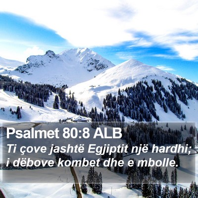 Psalmet 80:8 ALB Bible Verse Image