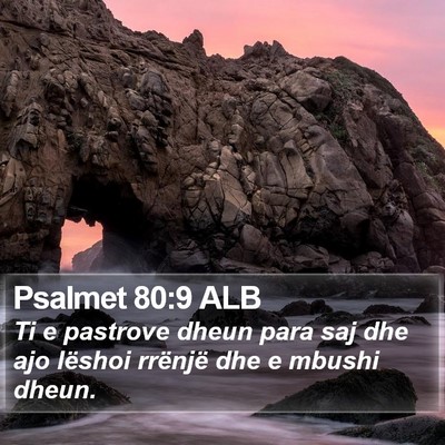 Psalmet 80:9 ALB Bible Verse Image