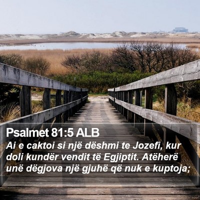 Psalmet 81:5 ALB Bible Verse Image