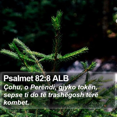 Psalmet 82:8 ALB Bible Verse Image