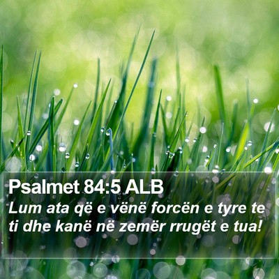 Psalmet 84:5 ALB Bible Verse Image