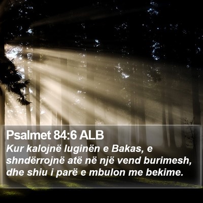 Psalmet 84:6 ALB Bible Verse Image