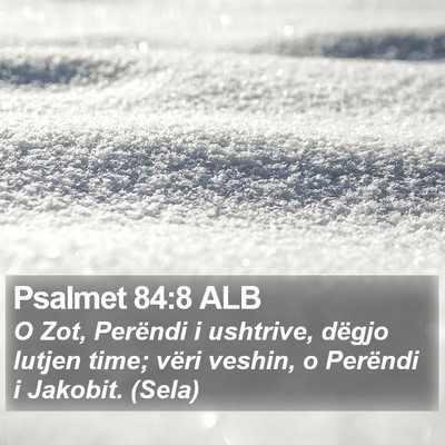 Psalmet 84:8 ALB Bible Verse Image