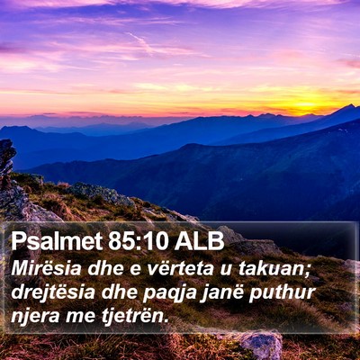 Psalmet 85:10 ALB Bible Verse Image