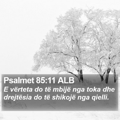 Psalmet 85:11 ALB Bible Verse Image