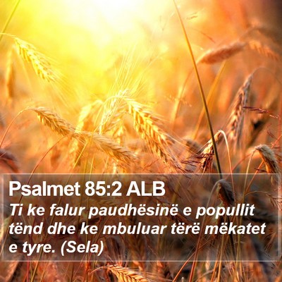 Psalmet 85:2 ALB Bible Verse Image