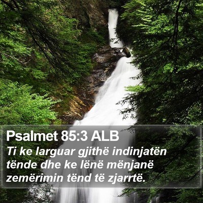 Psalmet 85:3 ALB Bible Verse Image