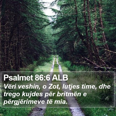 Psalmet 86:6 ALB Bible Verse Image