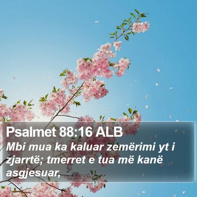 Psalmet 88:16 ALB Bible Verse Image