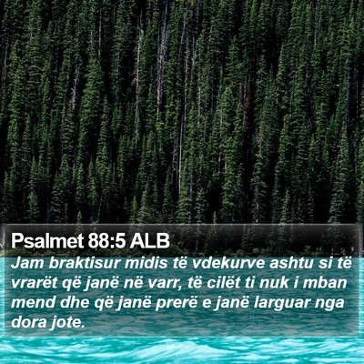 Psalmet 88:5 ALB Bible Verse Image
