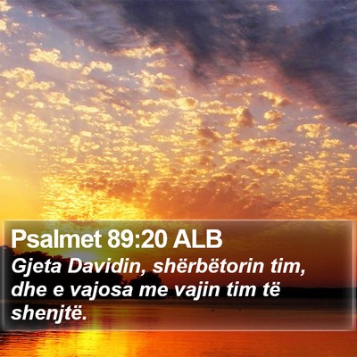 Psalmet 89:20 ALB Bible Verse Image