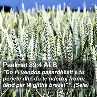 Psalmet 89:4 ALB Bible Verse Image