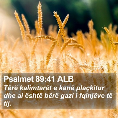 Psalmet 89:41 ALB Bible Verse Image