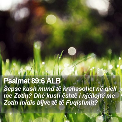 Psalmet 89:6 ALB Bible Verse Image